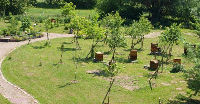 Landhotel Zum Honigdieb Ribnitz-Damgarten Zewnętrze zdjęcie